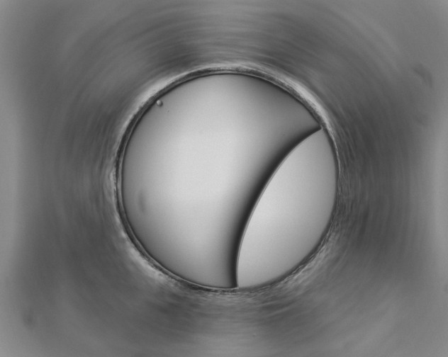 X0000112920951200908241028