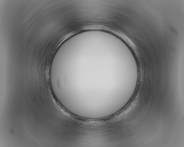 X0000112920953200908241028