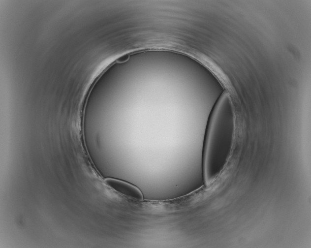 X0000112920956200908241028