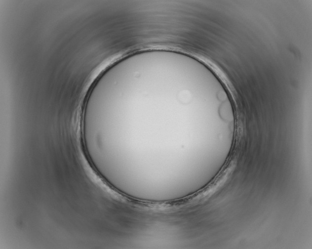 X0000112920957200908241028