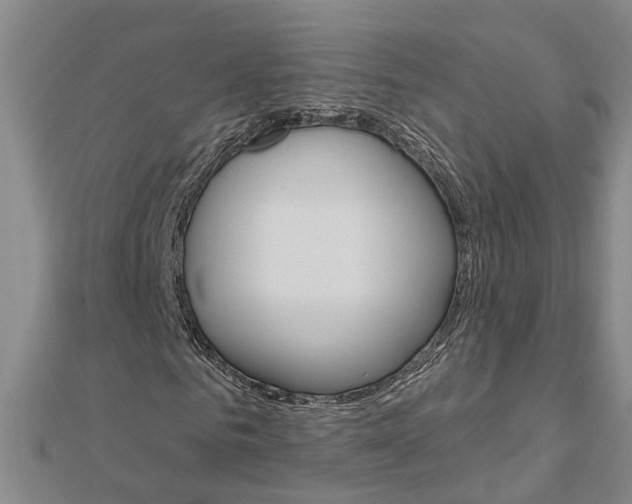 X0000112920961200908241027