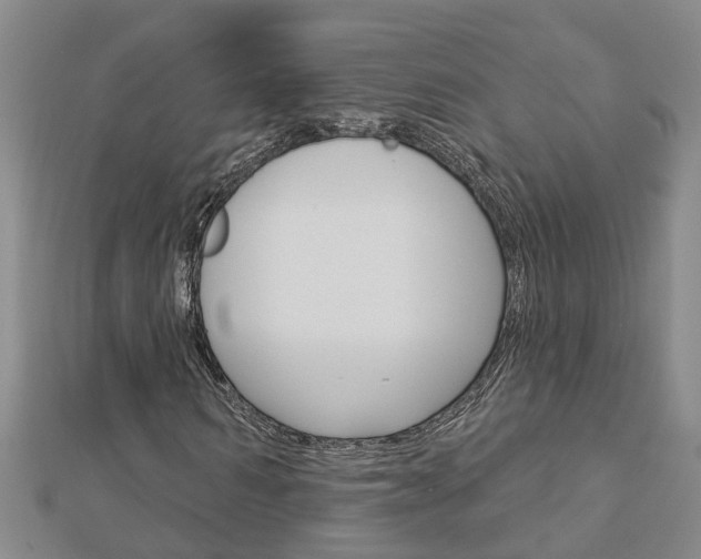 X0000112920962200908241027