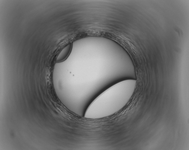 X0000112920964200908241027