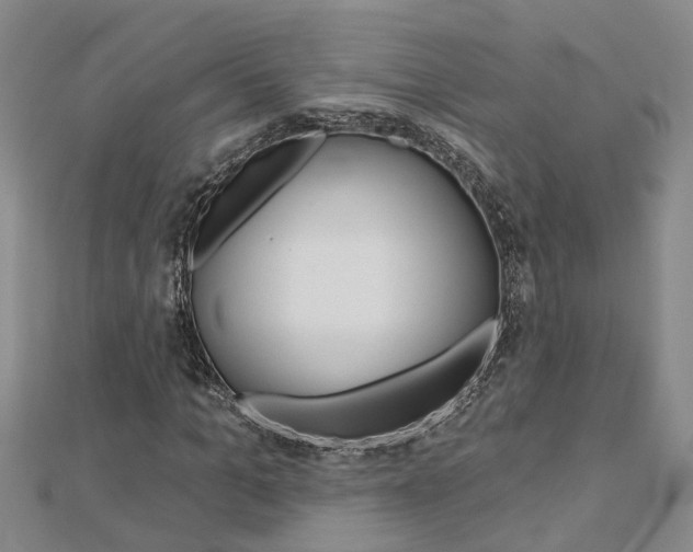 X0000112920965200908241027