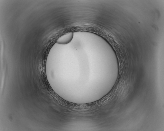 X0000112920966200908241027