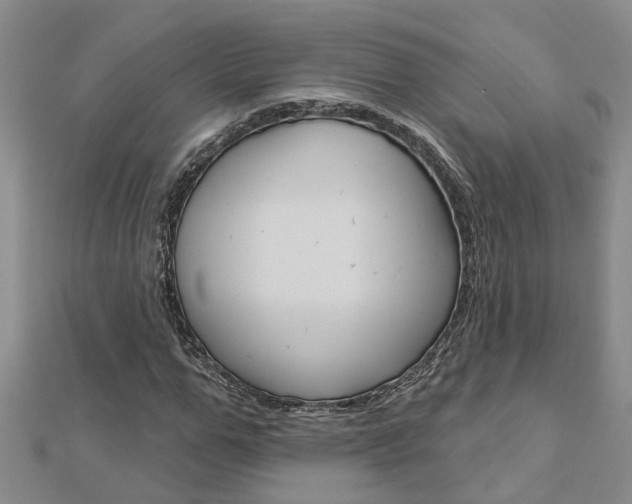 X0000112920967200908241027