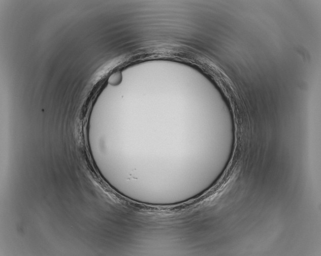 X0000112920970200908241027