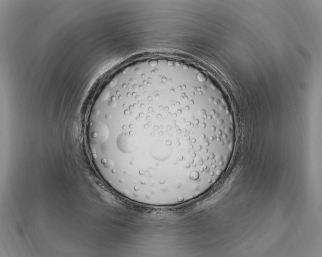 X0000112920974200908241027