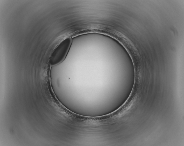 X0000112920977200908241027