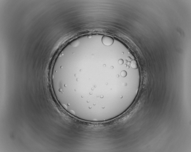 X0000112920978200908241027