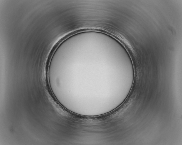 X0000112920980200908241027
