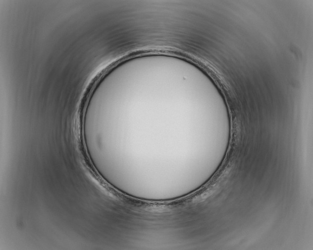 X0000112920982200908241027