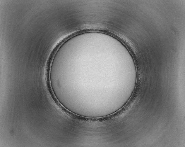 X0000112920983200908241027