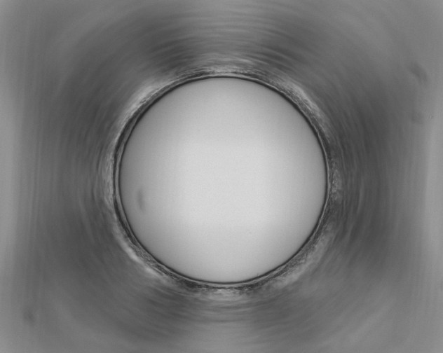 X0000112920986200908241027