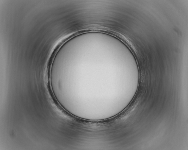 X0000112920987200908241027