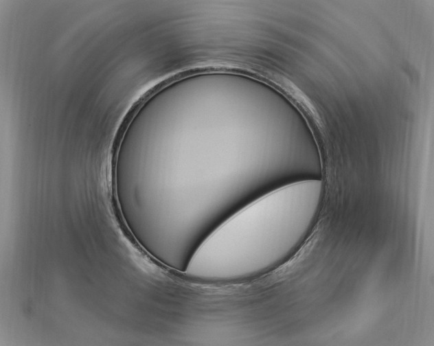 X0000112920988200908241027