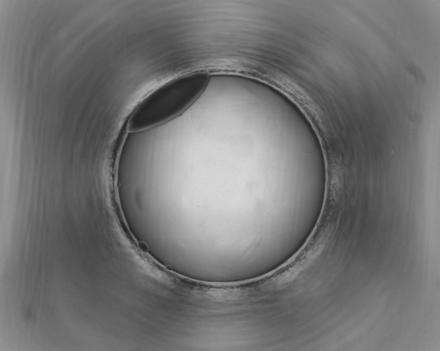 X0000112920989200908241027