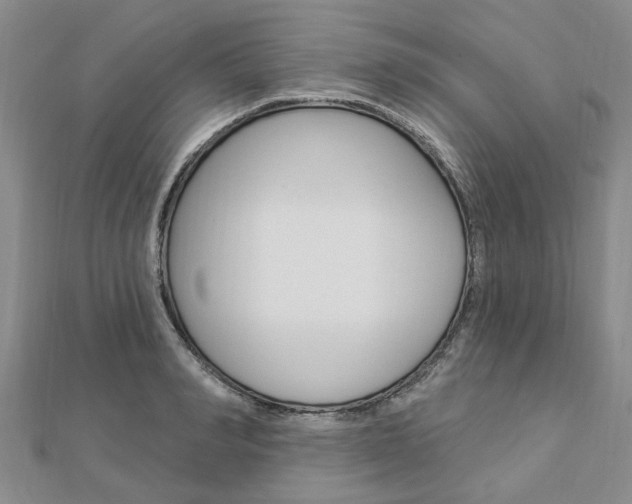 X0000112920990200908241027