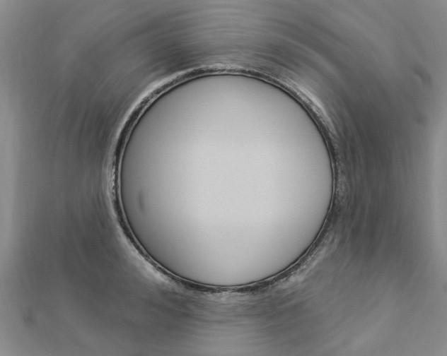 X0000112920992200908241027