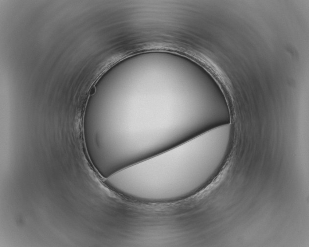 X0000112920993200908241027