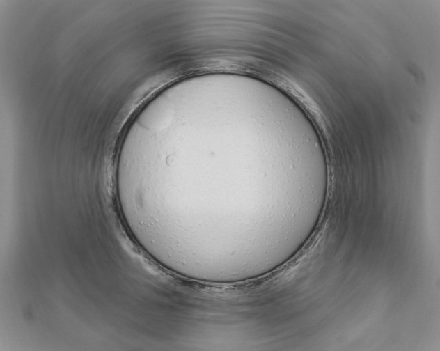 X0000112920994200908241027