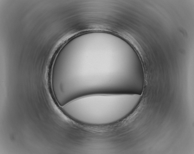X0000112920995200908241027