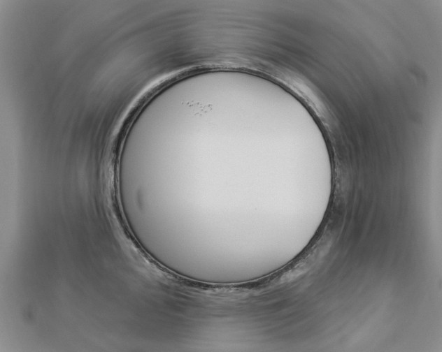 X0000112921000200908241027