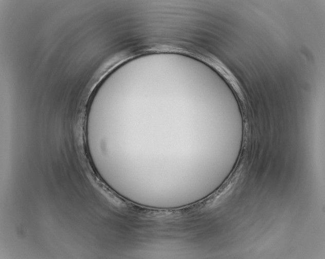 X0000112921002200908241027