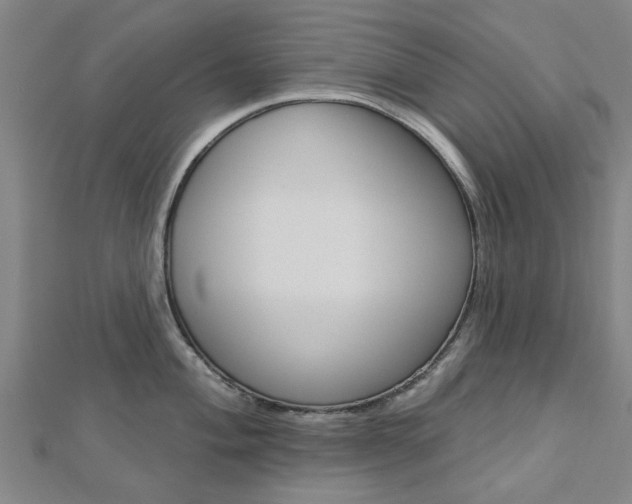 X0000112921004200908241027