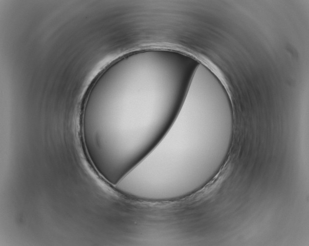 X0000112921005200908241027