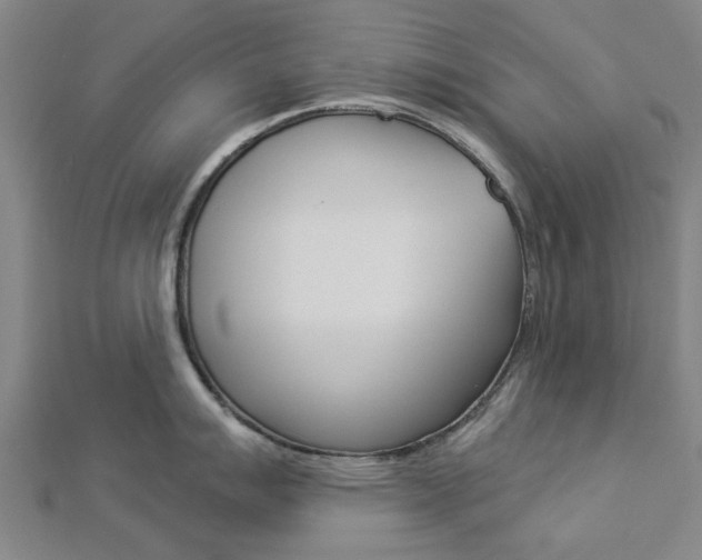 X0000112921007200908241027