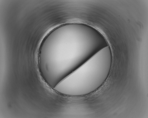 X0000112921008200908241027