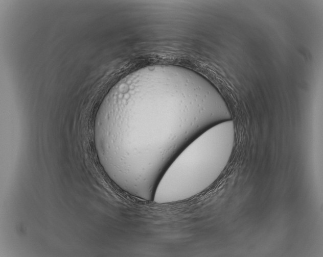 X0000112921009200908241026