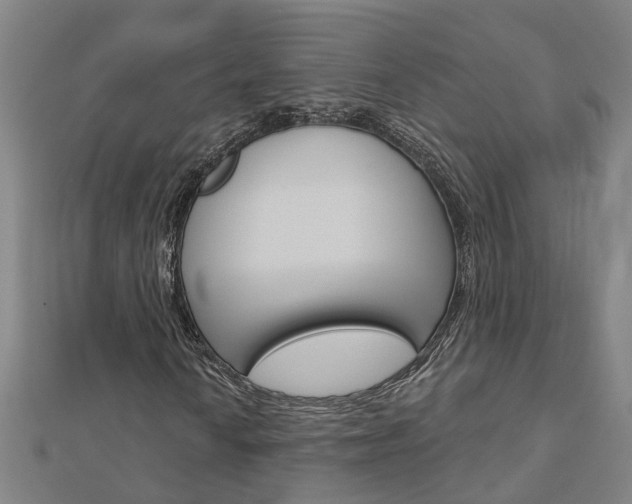 X0000112921010200908241026