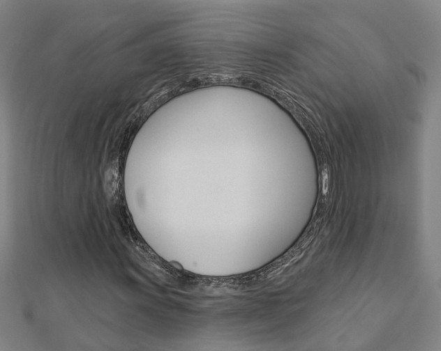 X0000112921011200908241026