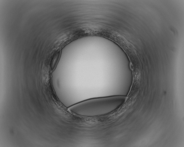 X0000112921012200908241026