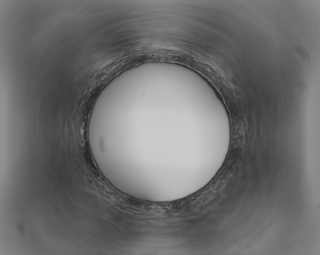 X0000112921013200908241026