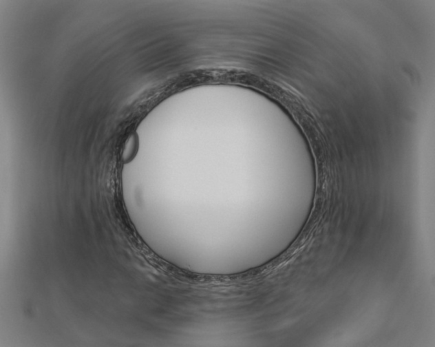 X0000112921014200908241026