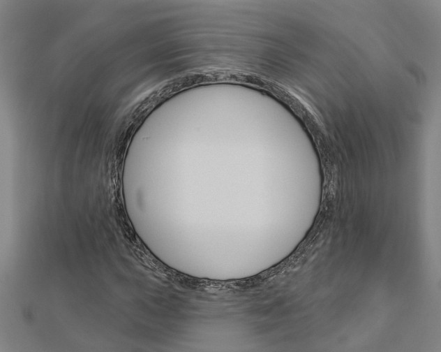 X0000112921015200908241026