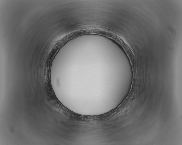 X0000112921016200908241026
