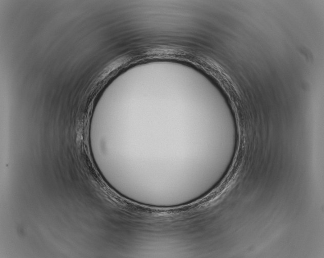 X0000112921017200908241026