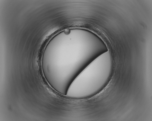 X0000112921018200908241026