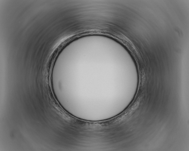 X0000112921019200908241026