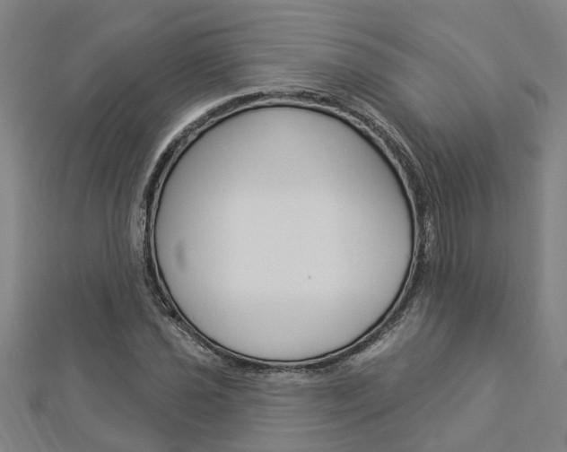 X0000112921021200908241026