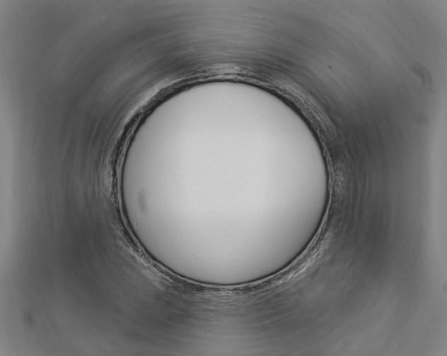 X0000112921023200908241026