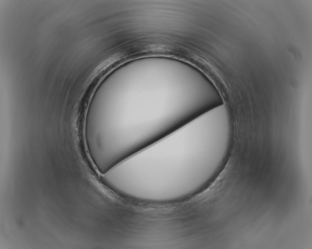 X0000112921026200908241026