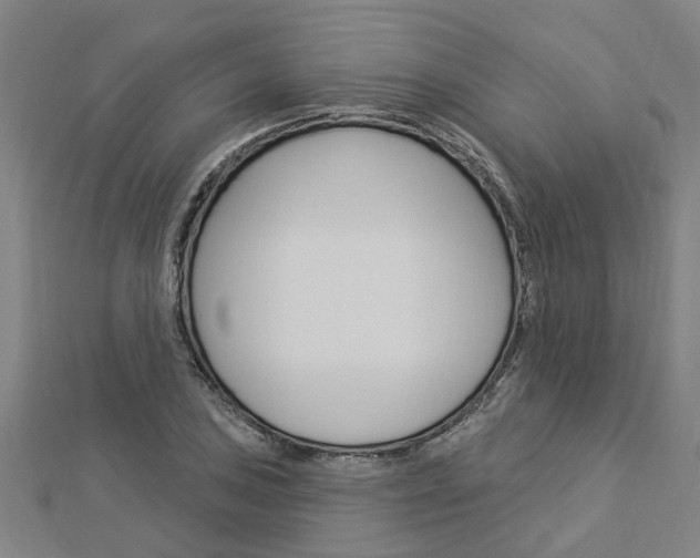 X0000112921027200908241026