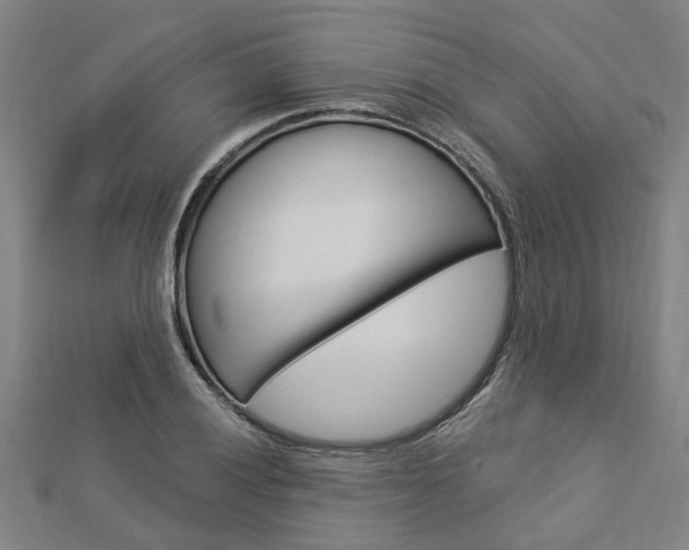 X0000112921028200908241026