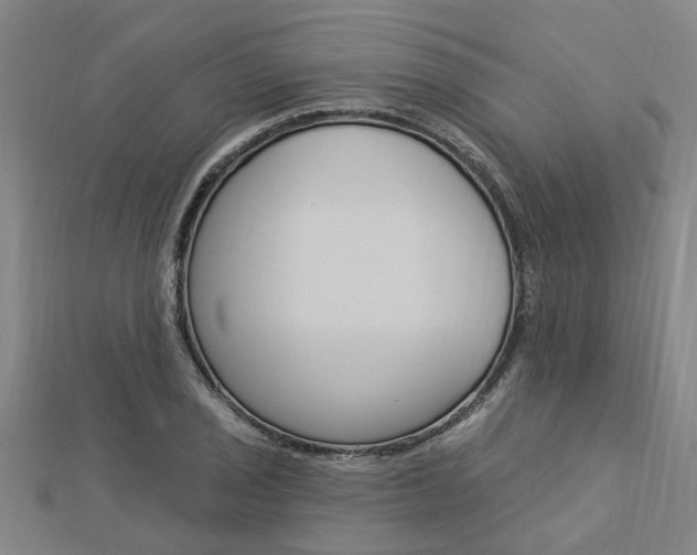 X0000112921029200908241026