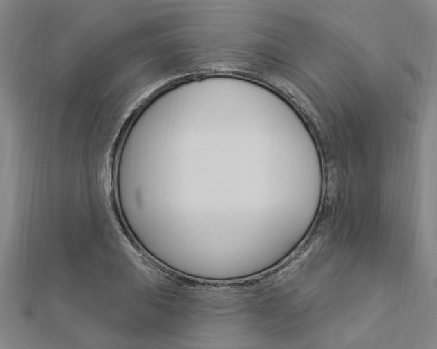 X0000112921031200908241026
